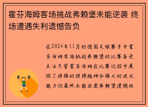 霍芬海姆客场挑战弗赖堡未能逆袭 终场遭遇失利遗憾告负