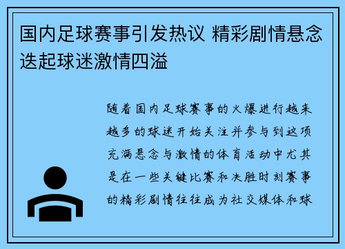 国内足球赛事引发热议 精彩剧情悬念迭起球迷激情四溢